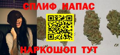 винт Донской