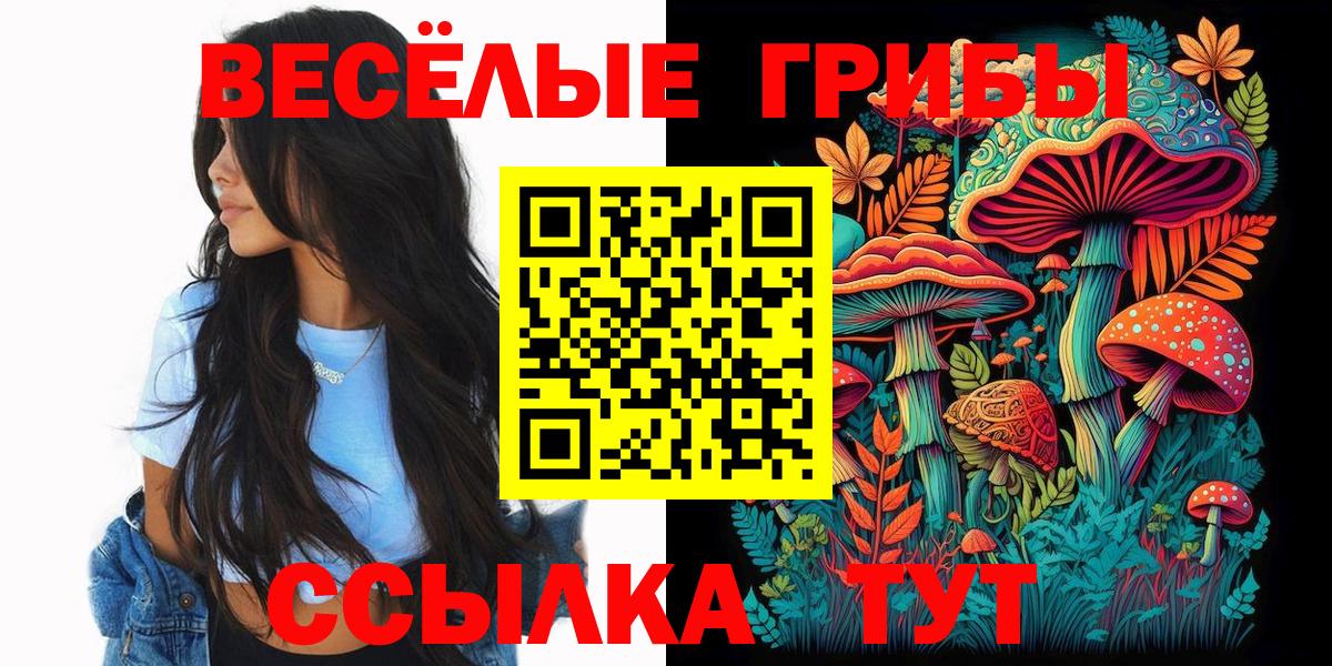Псилоцибиновые грибы Psilocybine cubensis Лысьва