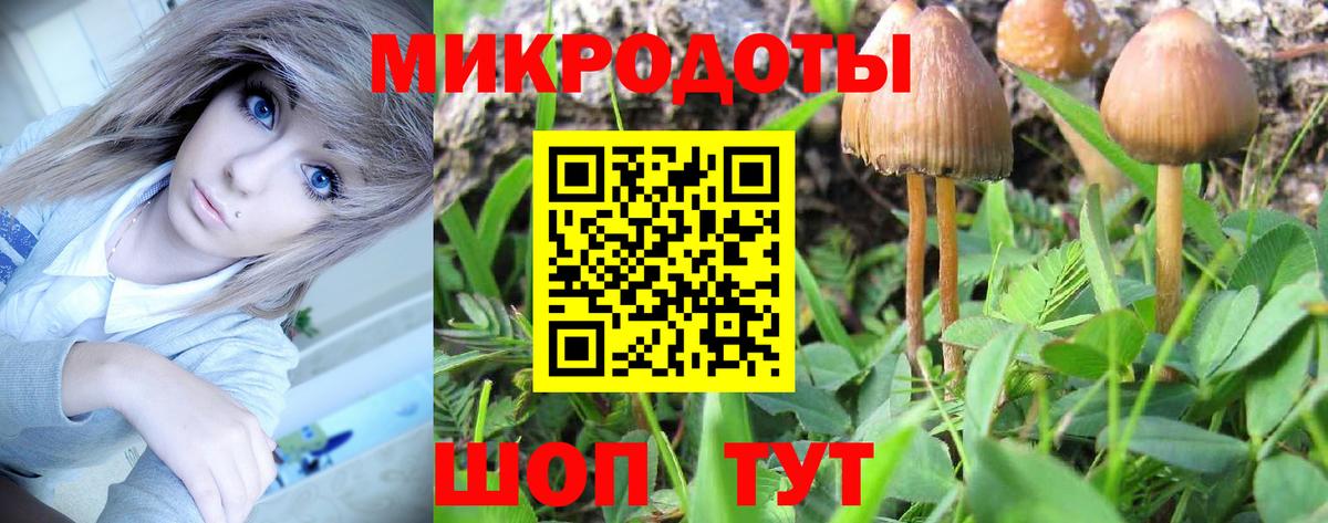 Псилоцибиновые грибы мицелий  Вход с VPN  цены   Лысьва  Галлюциногенные грибы Psilocybine cubensis 